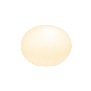 Globus pöytävalaisin