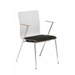 Fen tuoli käsinojin