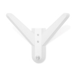 Seinänaulakko Klinte