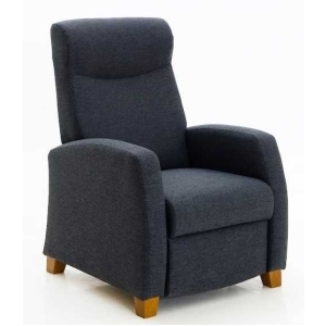 Lisbed Recliner nahkavehrhoilulla