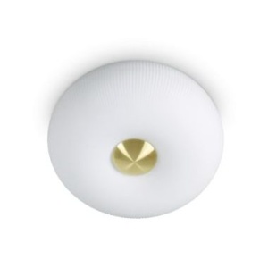 Arizona kattovalaisin