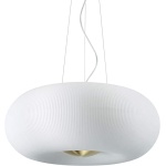 Arizona riippuvalaisin