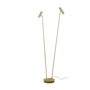 Artic Double lattiavalaisin