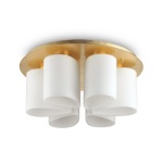 Daisy PL6 kattovalaisin