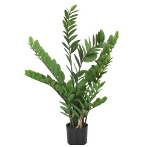 Verde palmukasvi ruukussa